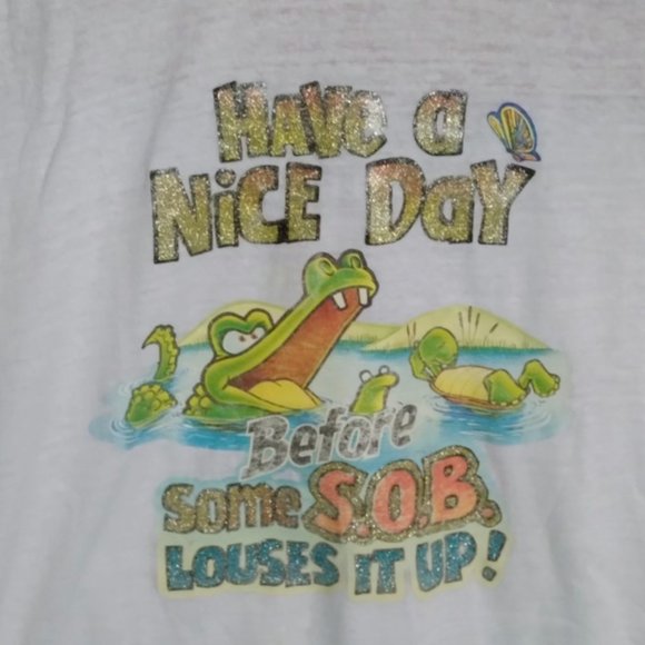 Have a Nice Day Before Some SOB Louses It Up Vtg Ringer Tee M Springfoot Iron On - Picture 5 of 5